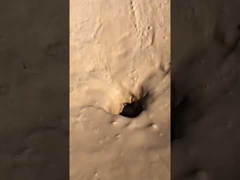 Sabías que una anguila eléctrica puede entrar donde nadie más puede ?