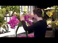 The $1,150 Floral Arrangement That Says It All - Money Menu