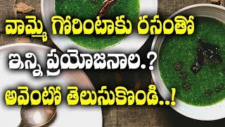 వమమ గరటక రసత ఇనన ఉపయగల? Gorintaku Rasam Tho Inni Upayogala