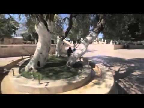 مقطع من داخل المسجد الأقصى المبارك - Masjid Al Aqsa