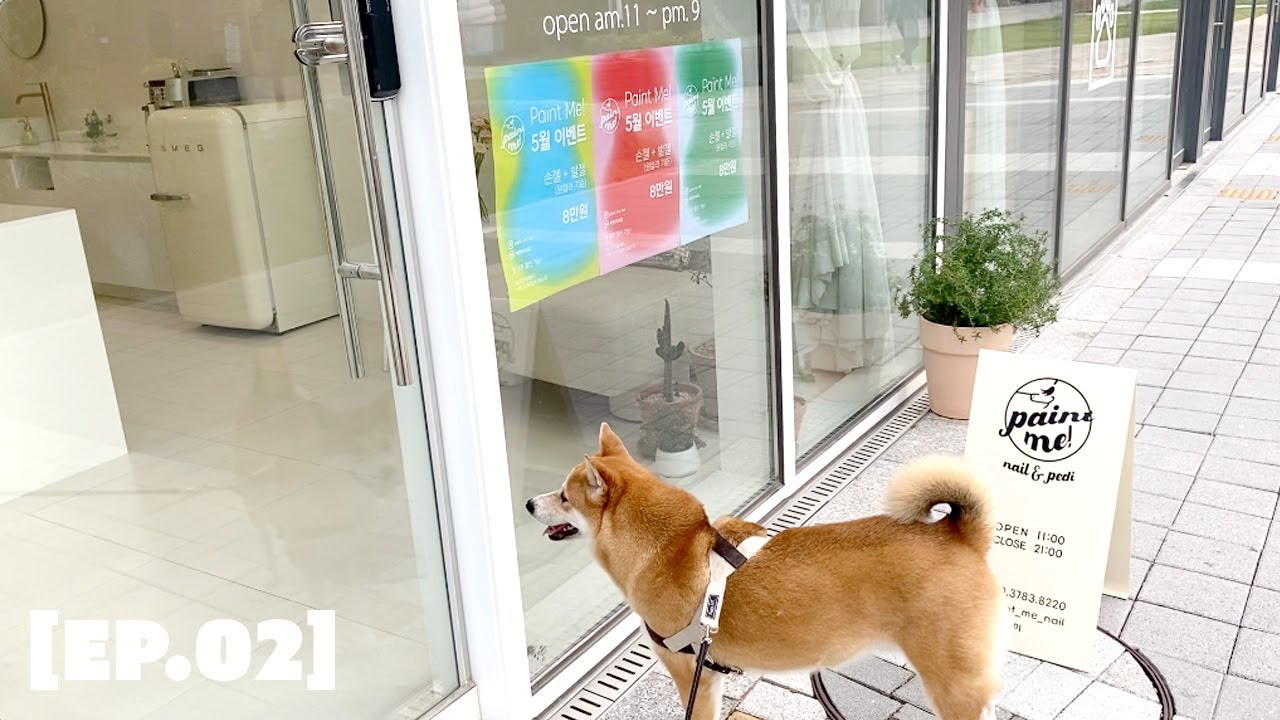 [EP. 02] 'Paint Me!' Visiting a petfriendly nail salon 위례 신도시 '페인트미