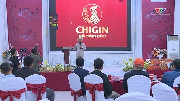 Hội nghị chuyển giao kỹ thuật trồng Sâm Báo hoa vàng hữu cơ | NSTH