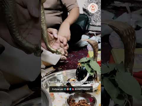 नमक चमक रुद्राभिषेक Faridabad Hariyana