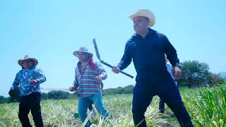 Video Oficial "Tumbando Caña" 2023 | Banda Maguey Oficial