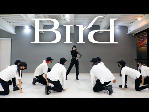 [Mirrored] Kim <strong>Nam</strong> Joo &amp;#39;Bird&amp;#39; Dance <strong>Cover</strong> / 김남주 &amp;#39;버드&amp;#39; 안무 거울모드