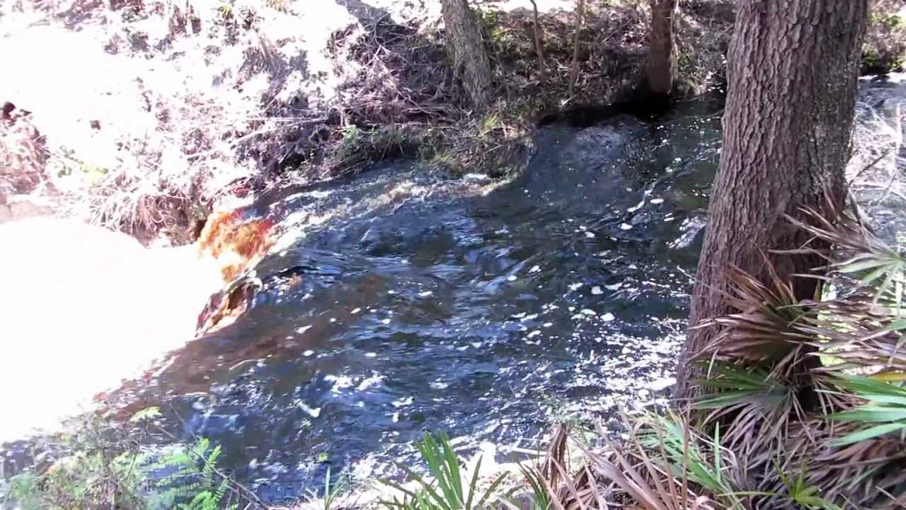 Waterfall on the Robinson Branch near the Suwanne River