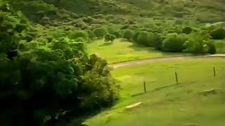 K-Fee Ghost Car But...