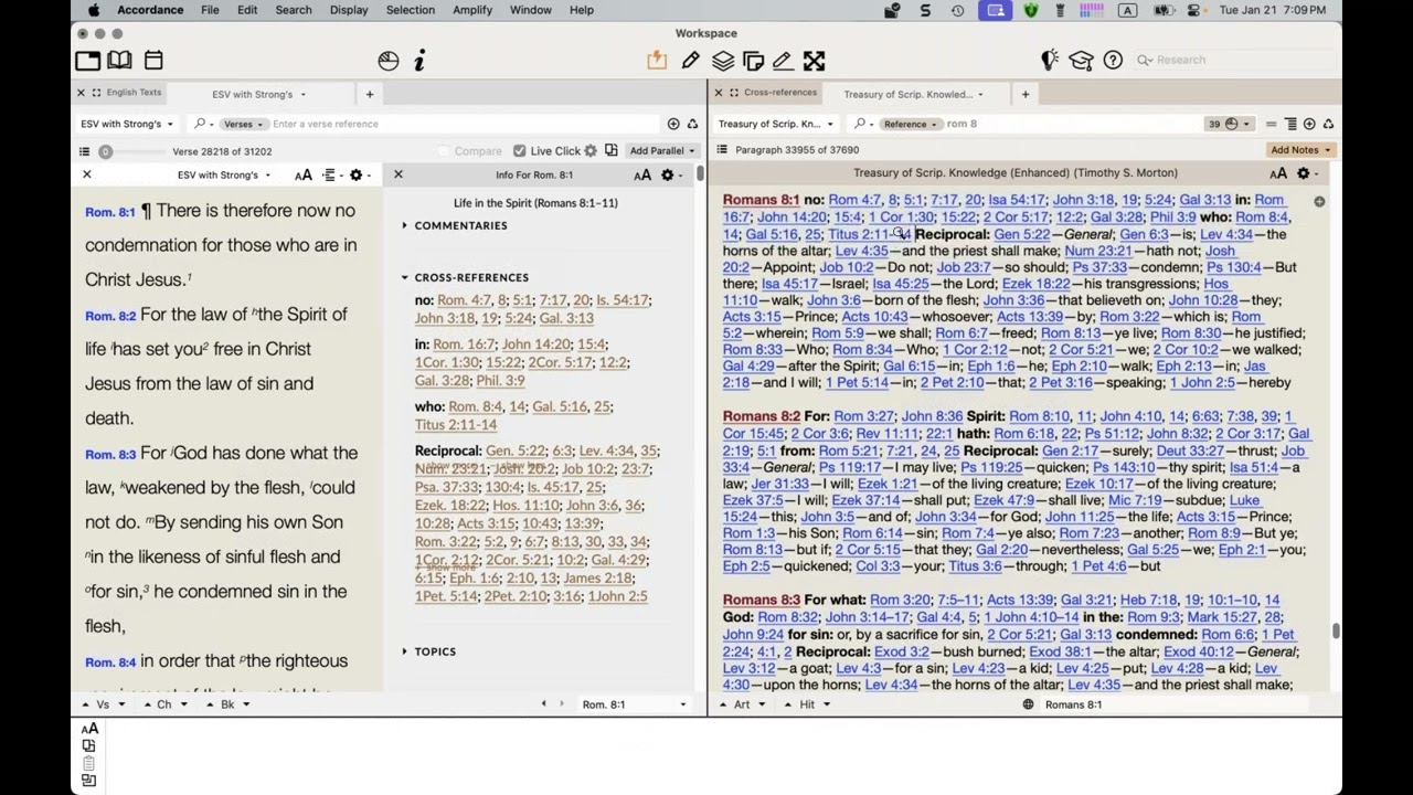 Webinar - Basics 2:  Info Pane and Graphics Tools