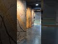 new design #ai #aivideo #aishorts #airport #aianimation #aiart #interiordesign #tiledesign #visualai