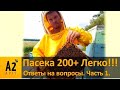 Vlad Belozerov #1: Пасека 200+Легко!!! Нюансы технологии