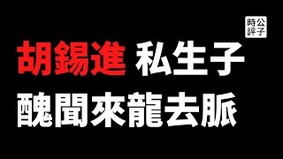 【公子快报】胡锡进被实名举报胡锡进与女下属有染，两个私生子？！辟谣仍被质疑，党媒到底有多脏？