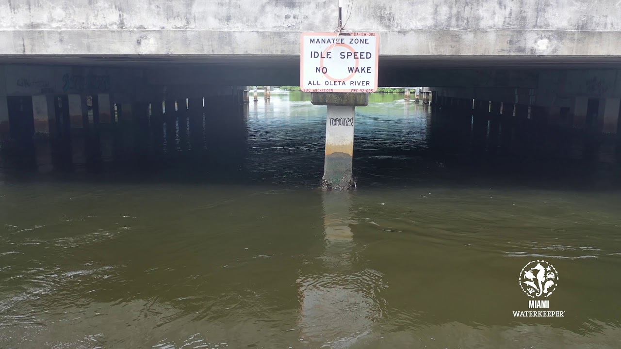 Drone footage of sewage Leak at Oleta River