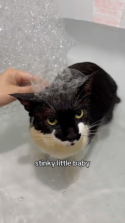 Stinky little baby #stinkylittlebaby