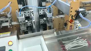 Celebrity Fully automatic round sheath double-head tinning machine#machine#manufacturer#factory#tinningmachine Profile