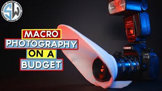 Macro Photography on a Budget