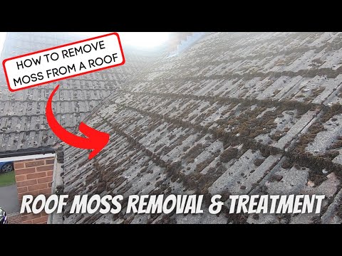 How To Clean Moss Off Exterior Paint?