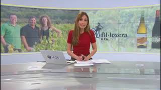 fil·loxera  & Cia: vinos de Garaje en Fontanars dels Alforins