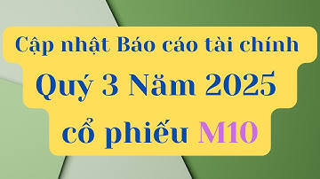 Cập nhật Báo cáo tài chính Quý 3 Năm 2025 của cổ phiếu M10
