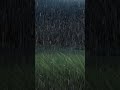 1 Minute of Peace