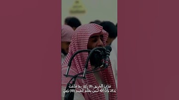 من أروع التلاوات لسورة الحج 🕋