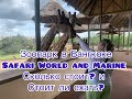 SAFARI WORLD- Зоопарк  Бангкока. Сколько стоит и стоит ли ехать?