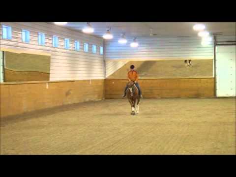A Day at the Ranch - Jeannette Redmond Dressage - ...