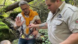 Tele Top Reportage Steinkrebsauswilderung Im Sihlwald