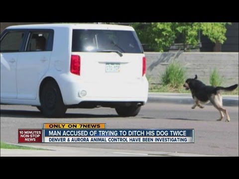Video: Vírusovej Video Of Dog Dumping Presvedčí vinníka, aby sa obrátila