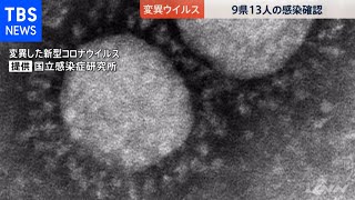 ９県１３人が変異ウイルス感染 １１人は同一施設利用