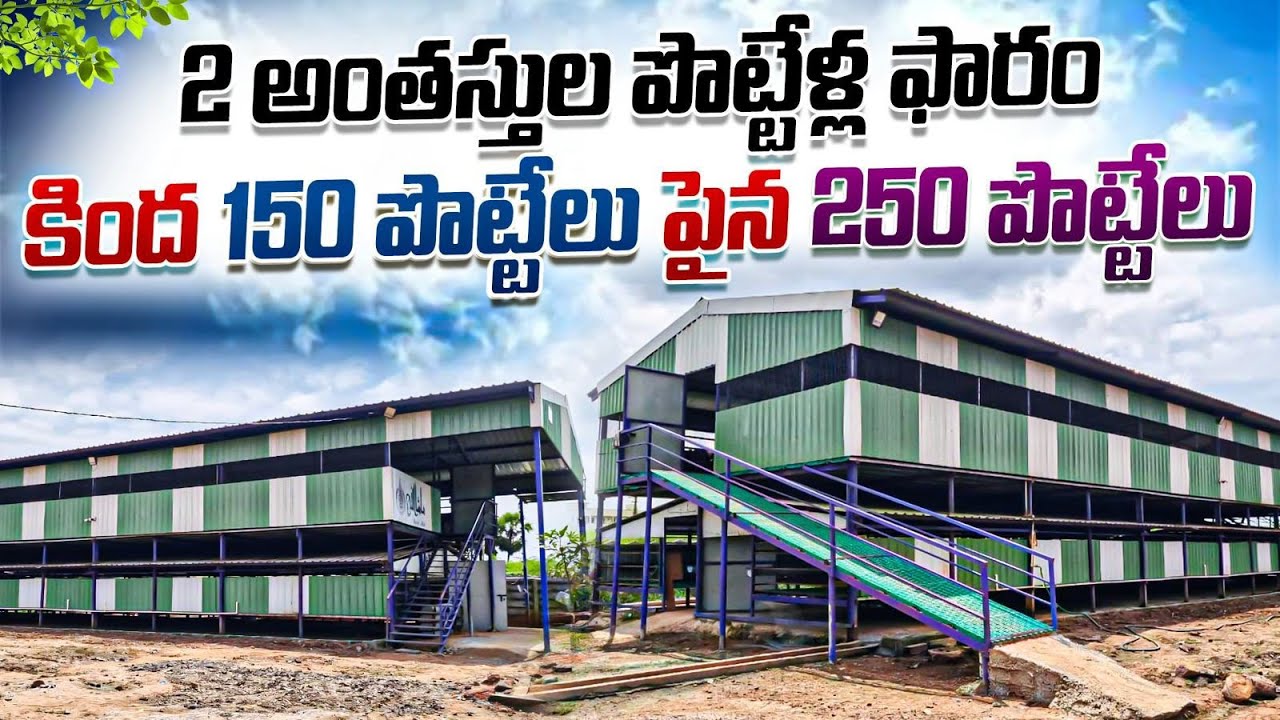 Hitch sheep farming / eliveted shead sheep goat farm 2 అంతస్తుల పొట్టేళ్ల ఫారం 