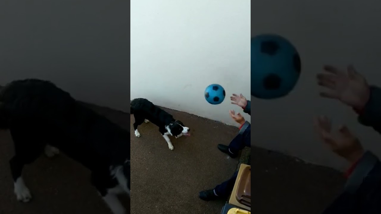 Floppy joue au ballon ⚽