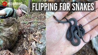 Flipping Copperheads And Other Snakes Under Tin In Metro Atlanta Southeastern Snake Hunting