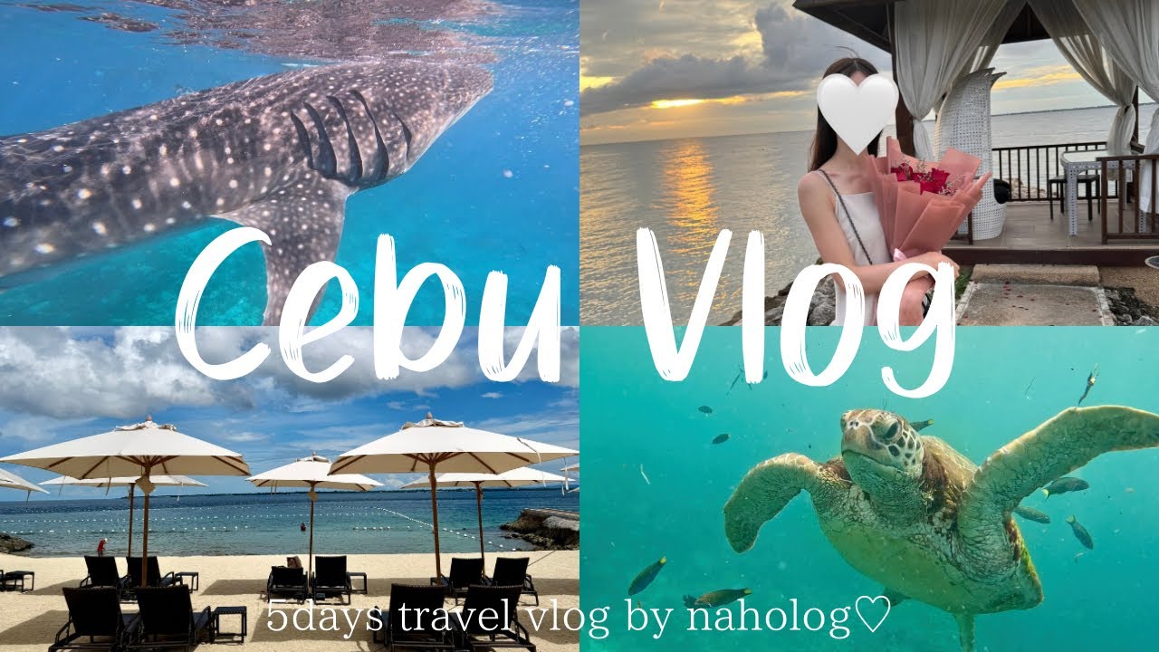 Cebu Vlog ｜4泊5日のセブ旅行🇵🇭,ジンベイザメツアー,クリムゾンリゾート&スパ,シャングリラマクタン🏨,海外ゴルフ