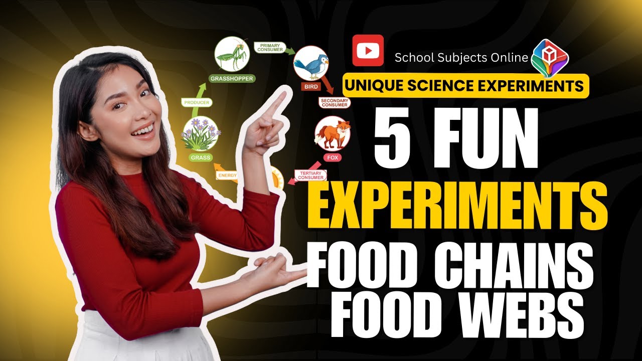 Unique Food Chain and Food Web Experiments for Grade School