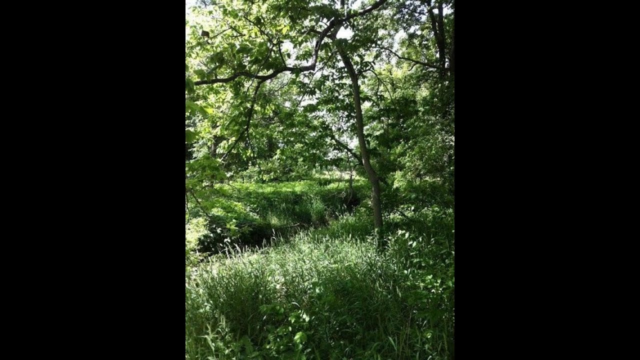 Homes for sale - Lot 17 Flint Creek, Lafayette, IN 47909