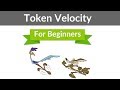 Token Velocity Explained Simply