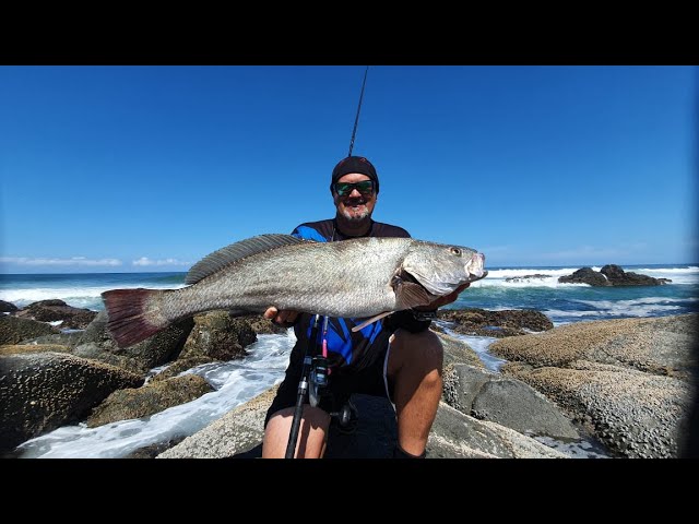 Catching Kob with Paddle tails- Weedless 