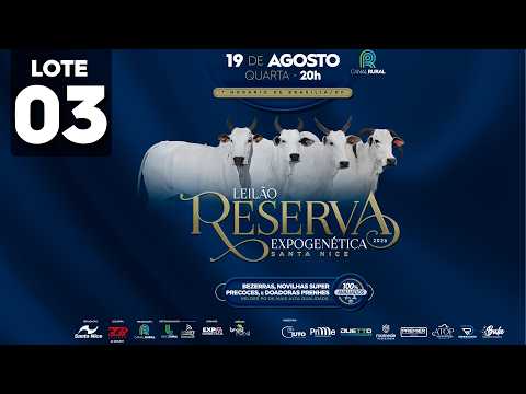 LOTE 03   GRI C9732