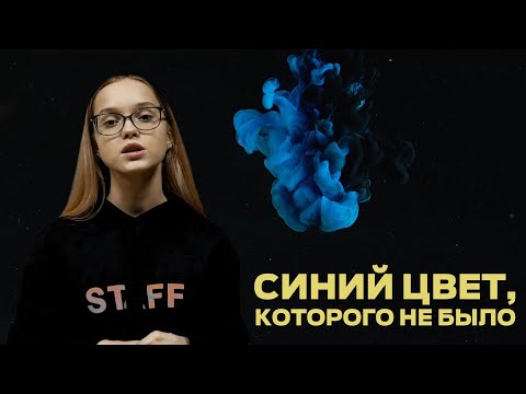 Почему древние люди не видели синего цвета?