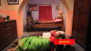 Romance With A Roach