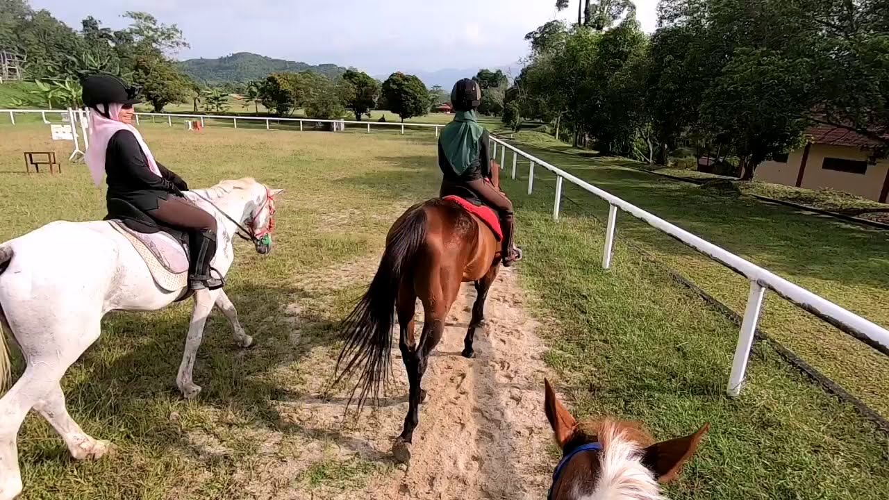 Leisure Ride at Seremban Equine Centre 30.12.2018