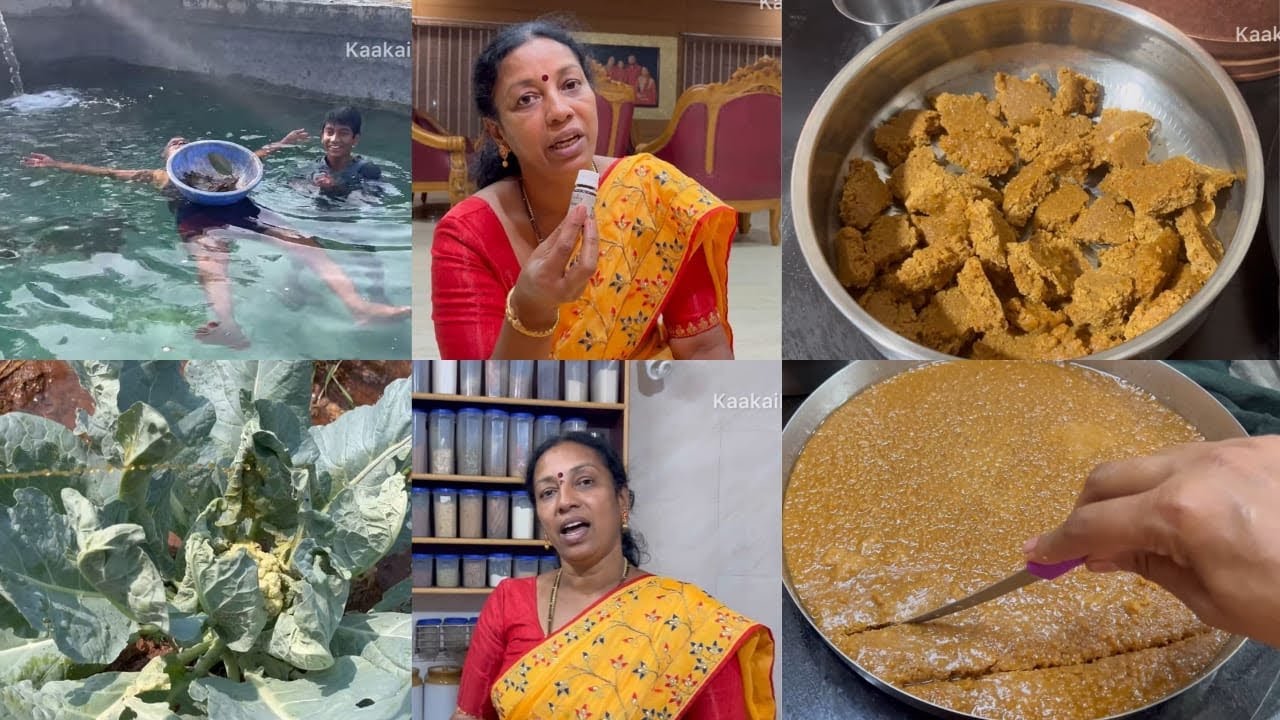 இப்படியும் ஒரு சந்தோஷமான நாளா? & தேங்காய் பர்பி நாட்டு சக்கரையில்!!!