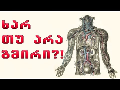 გაიღებ ორგანოს სხვა ადამიანის გადასარჩენათ?!🔴(გვამური დონაცია საქართველოში)