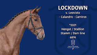 Holsteiner Frühjahrsauktion 2024 | Nr. 12 Lockdown