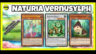 STUNNING AND STEALING!! Naturia Vernusylph w/o Adamancipators [Yu-Gi-Oh! Master Duel]