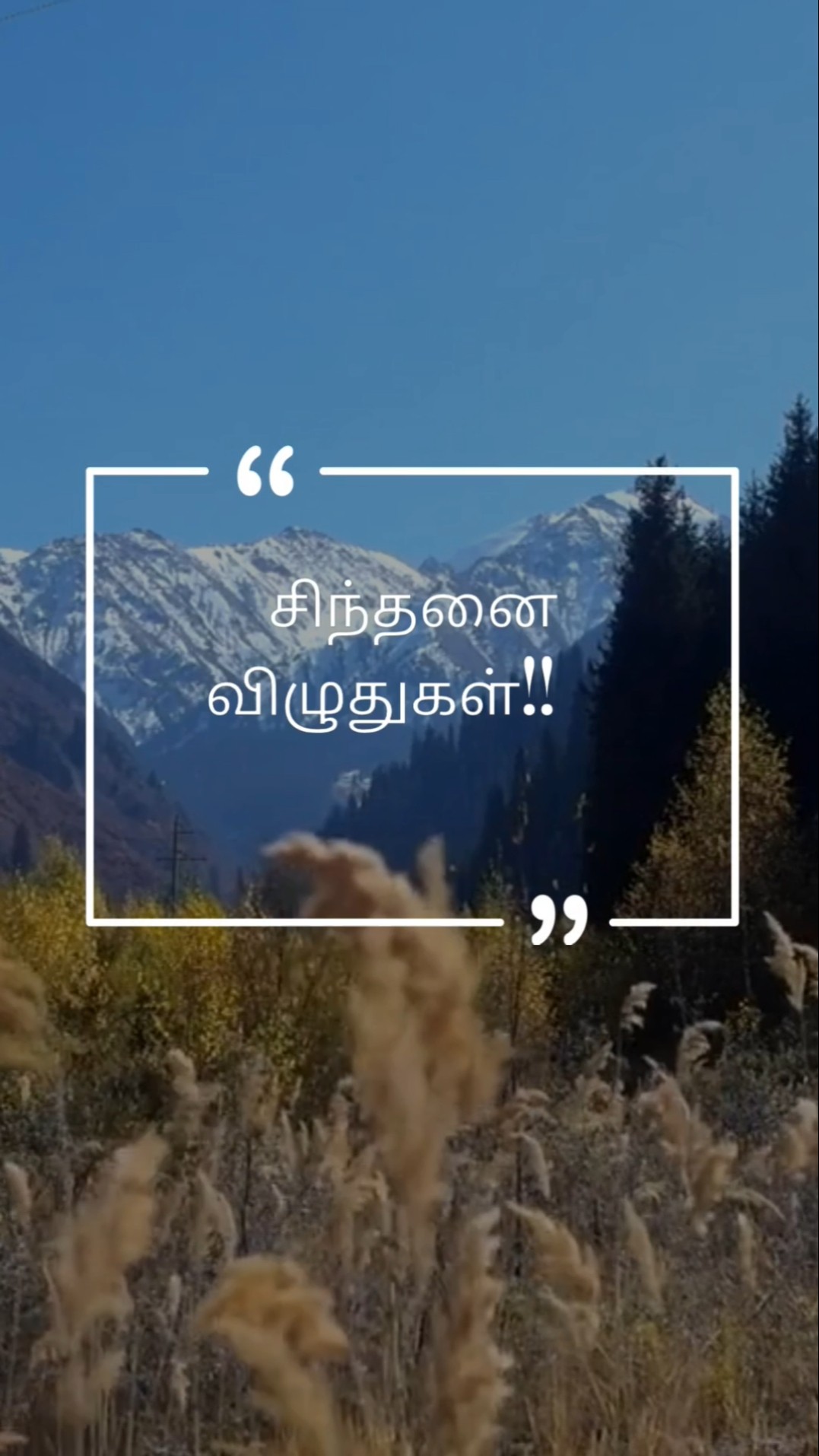 சிந்தனை விழுதுகள் - ShareChat