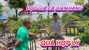 Nóng...Báo giá toàn bộ lô cây QUÁ HỢP LÝ gian hàng đầu tiên có mặt tại triển lãm Đông Anh 2022
