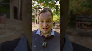 Syrian man robs minor in broad daylight at a Dresden playground (!) | Johannes Schüller Syrian man robs minor in broad daylight at a Dresden playground (!) | Johannes Schüller