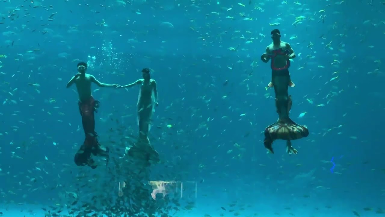 Aquarium Mermaid Show   Mermaid Love Story – Dance of the Sea, Vin Wonders, PhuQuoc Islands, Vietnam