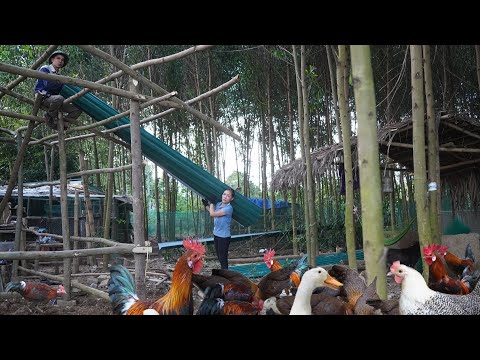 الرجل هو جاري اللطيف الذي يساعدني في بناء منزل جديد بعد العاصفة حياة الغابة لأيمي 